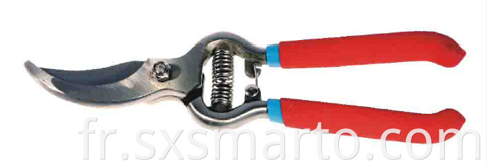 Fine Polished Pruning Shears